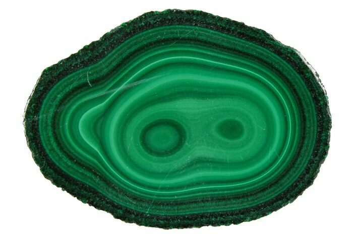 Polished Malachite Stalactite Slice - Congo #251840